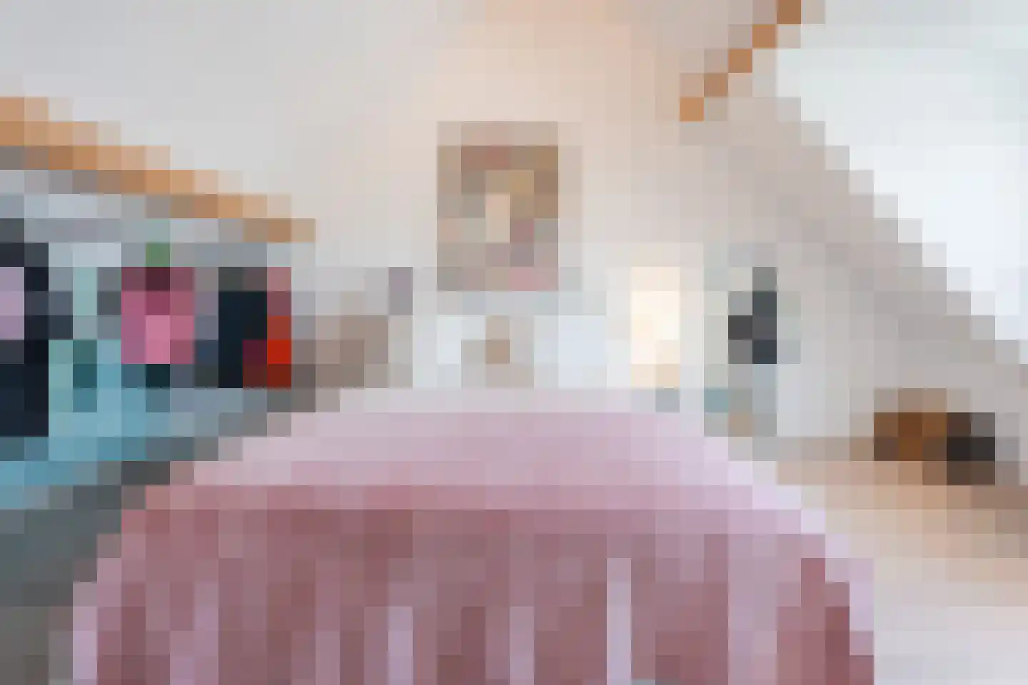 Aleidestraat 24 Cuijk thumbnail 30