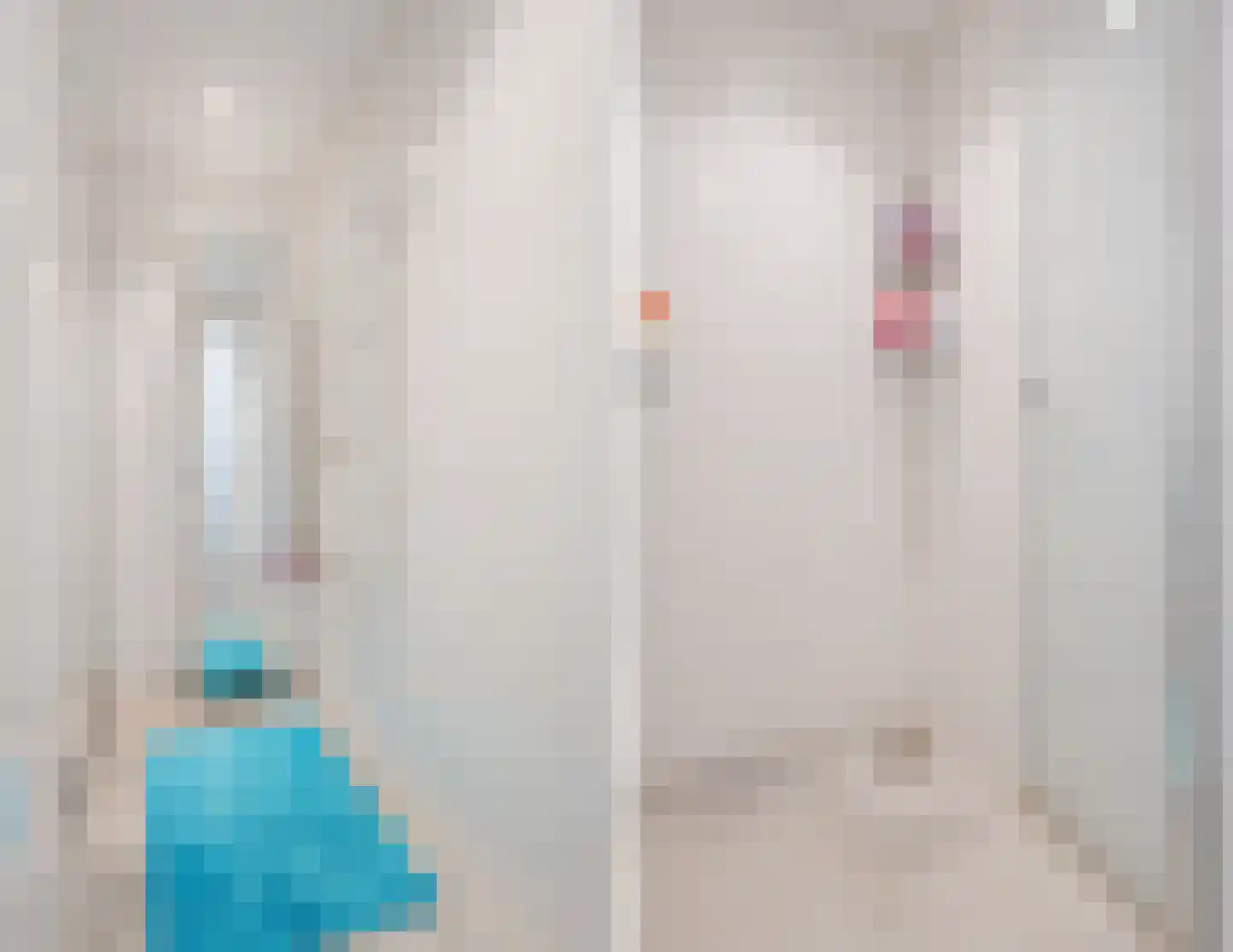 Aleidestraat 24 Cuijk thumbnail 38