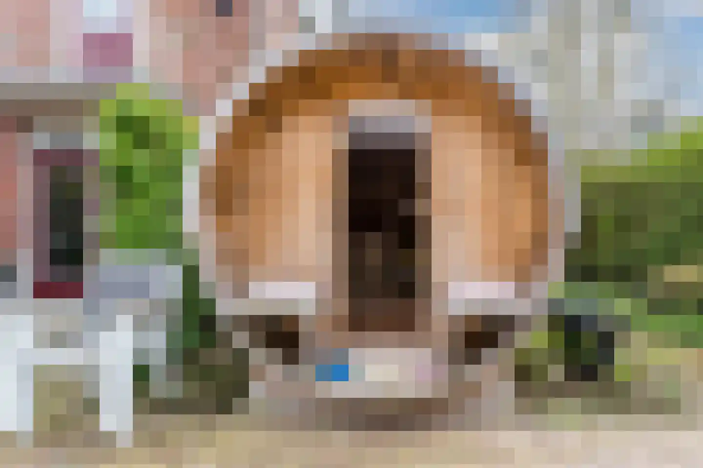 Aleidestraat 24 Cuijk thumbnail 4
