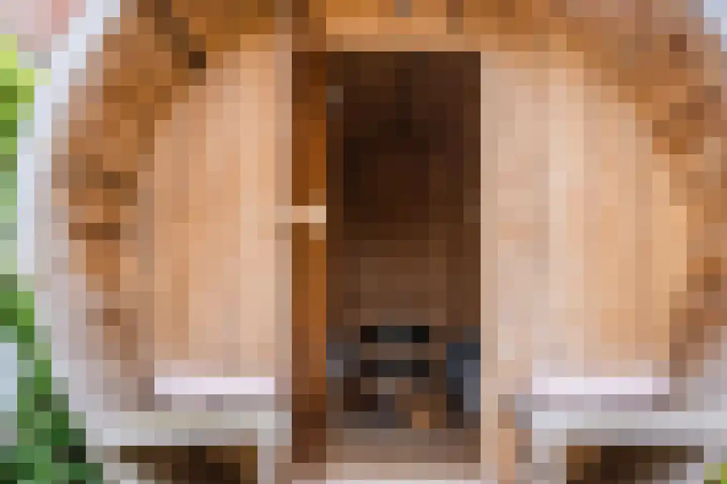 Aleidestraat 24 Cuijk thumbnail 41
