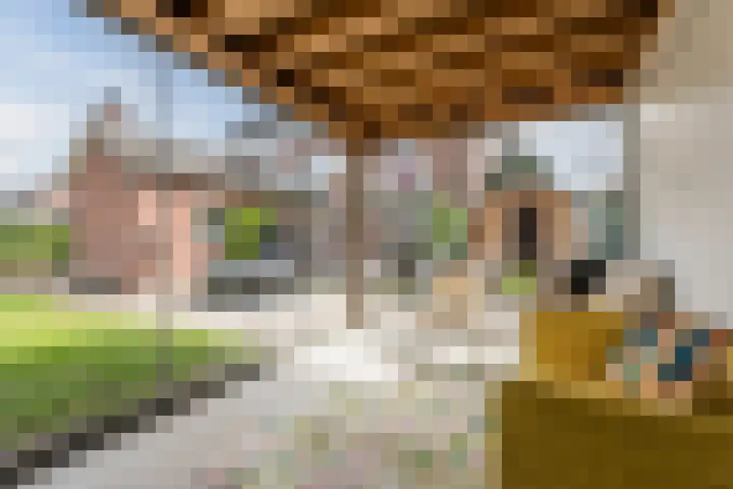 Aleidestraat 24 Cuijk thumbnail 47