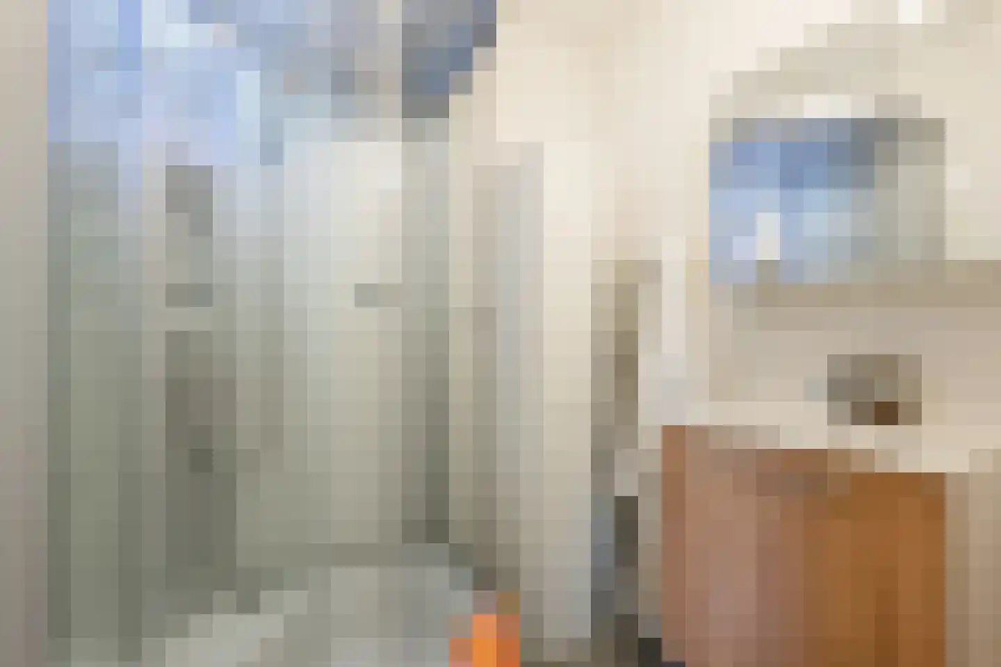 Aleidestraat 24 Cuijk thumbnail 51