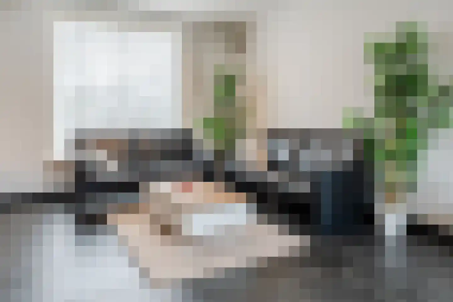 Aleidestraat 24 Cuijk thumbnail 9