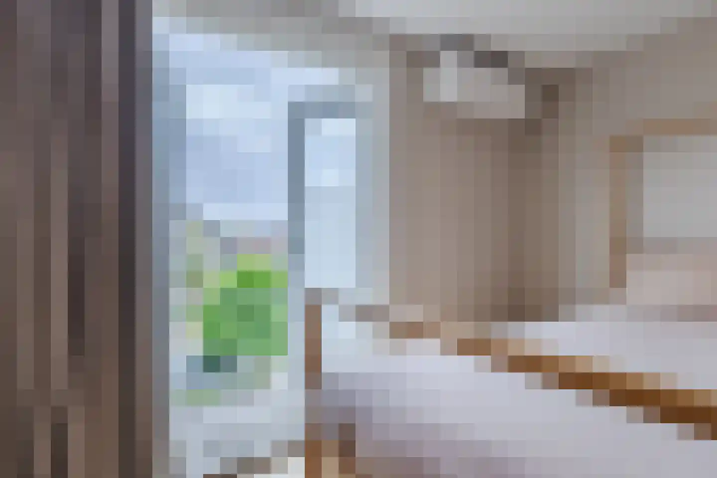 Aleidestraat 48 Cuijk thumbnail 14