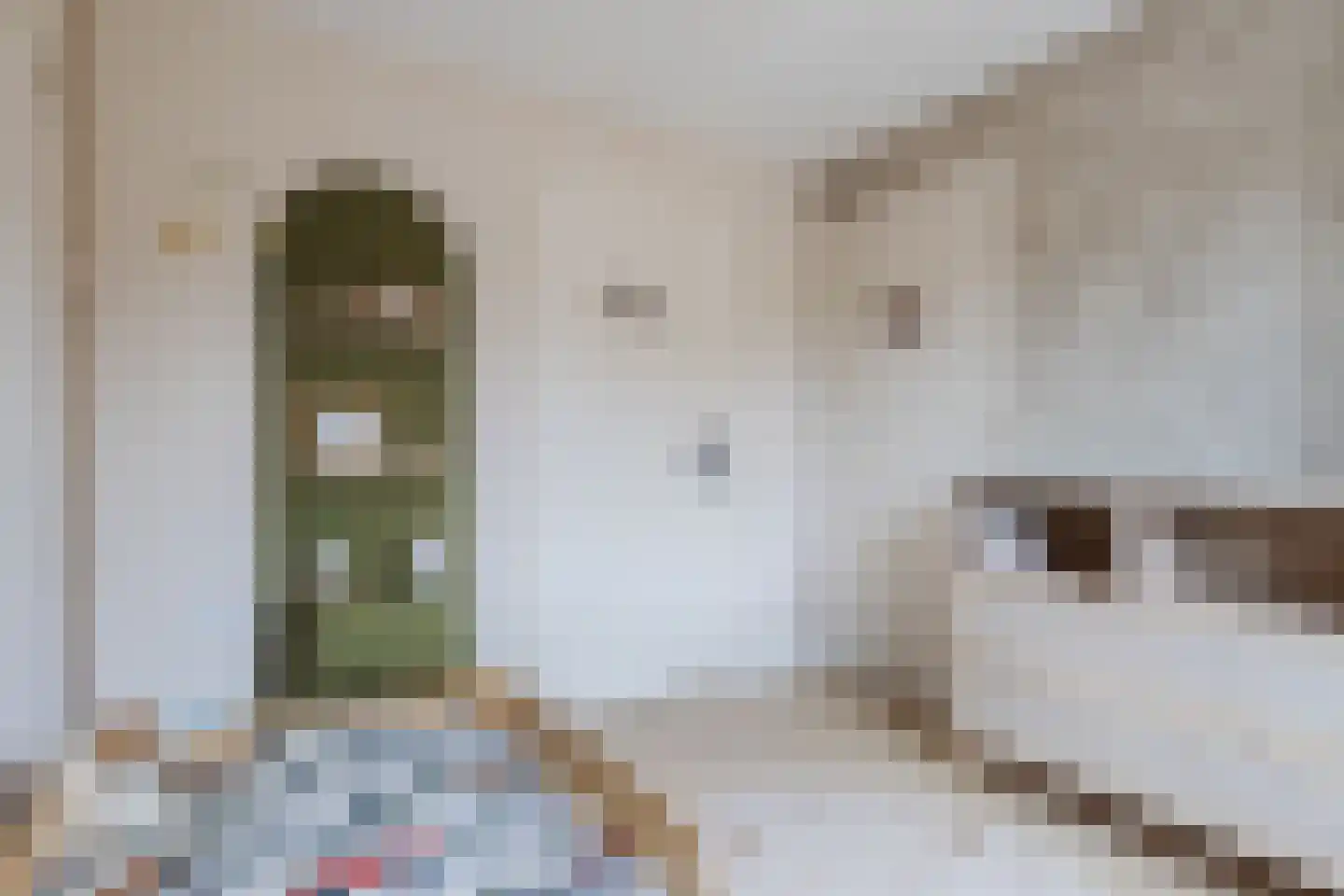 Aleidestraat 48 Cuijk thumbnail 17