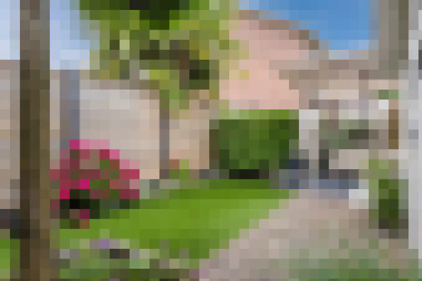 Aleidestraat 48 Cuijk thumbnail 25