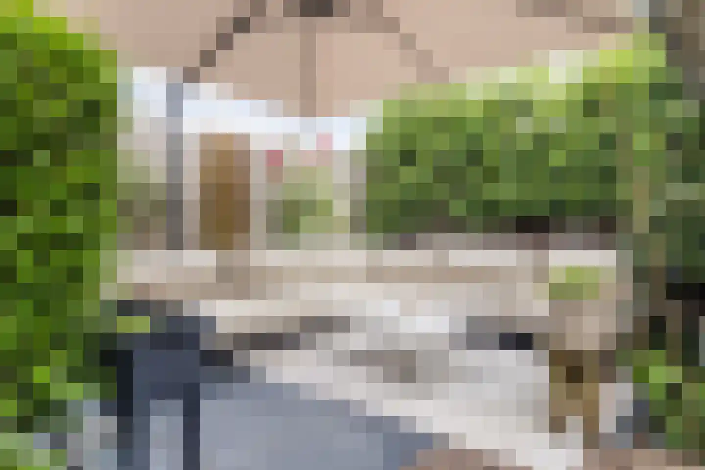 Aleidestraat 48 Cuijk thumbnail 26
