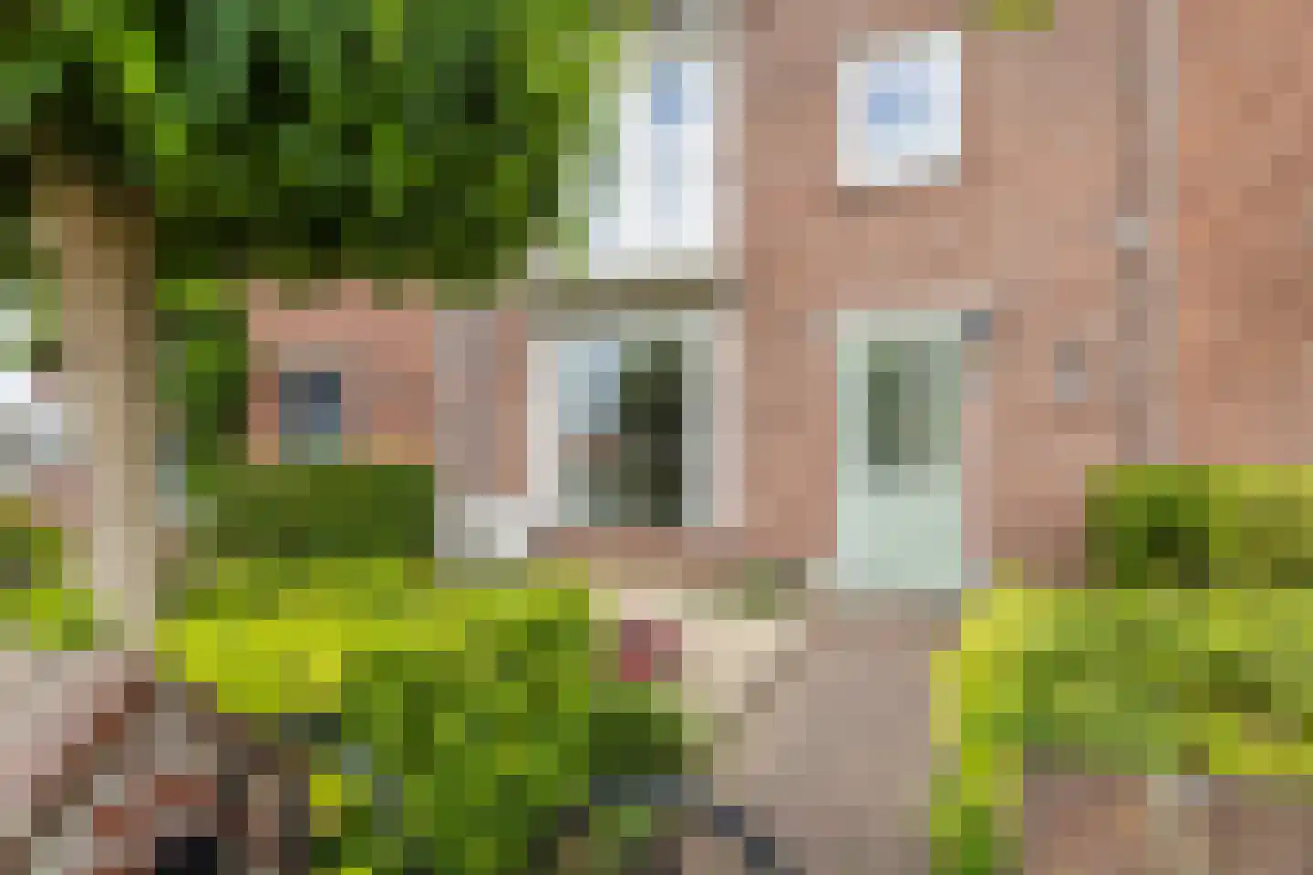 Aleidestraat 48 Cuijk thumbnail 6