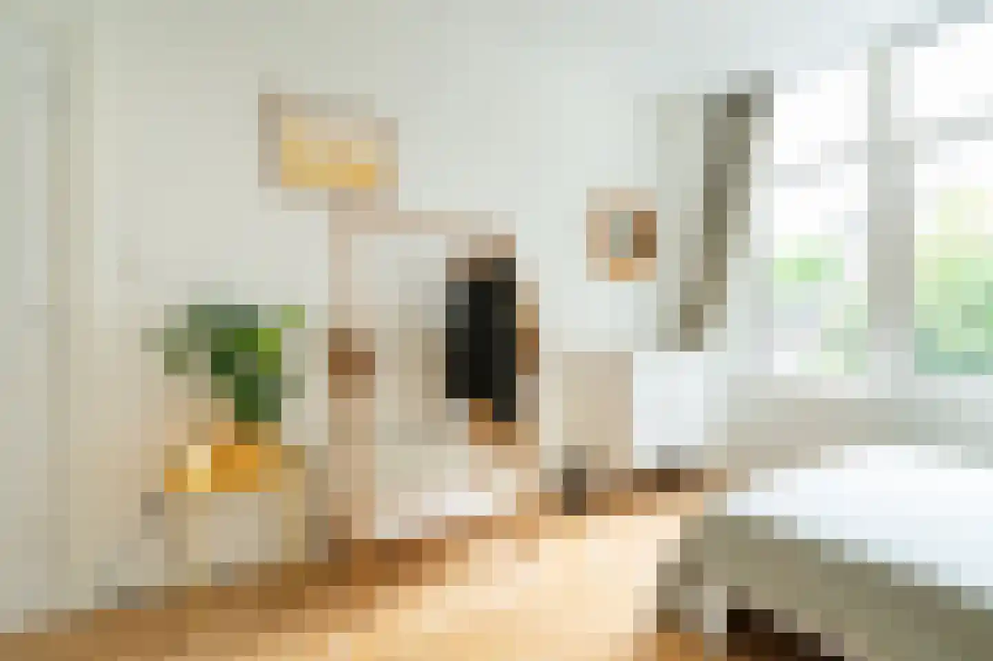 Aleidisstraat 105 C 02 Rotterdam thumbnail 16