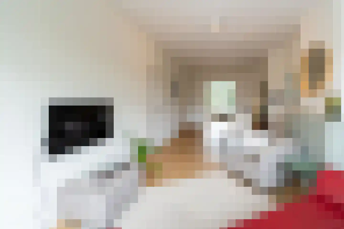 Aleidisstraat 105 C 02 Rotterdam thumbnail 6