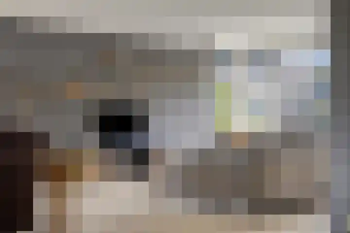 Aleidisstraat 14 Sprundel thumbnail 13