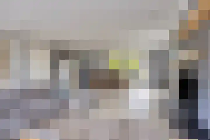 Aleidisstraat 14 Sprundel thumbnail 14