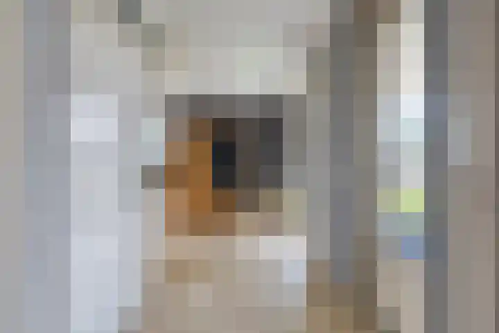 Aleidisstraat 14 Sprundel thumbnail 22