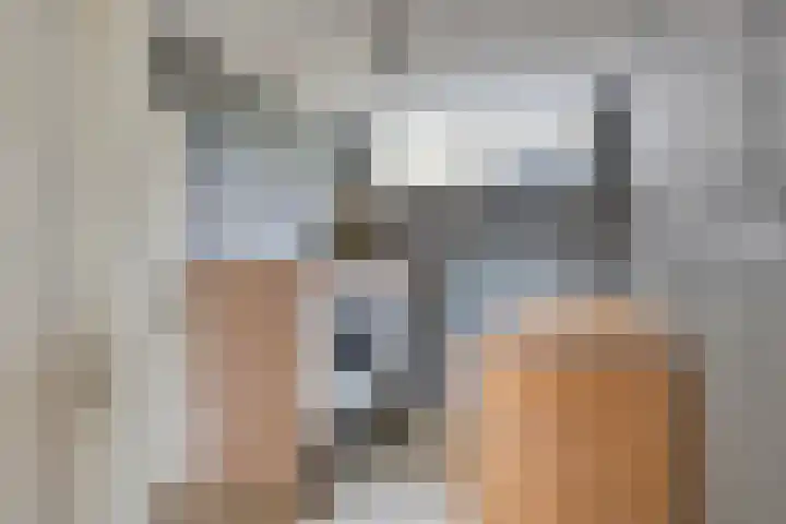 Aleidisstraat 14 Sprundel thumbnail 28