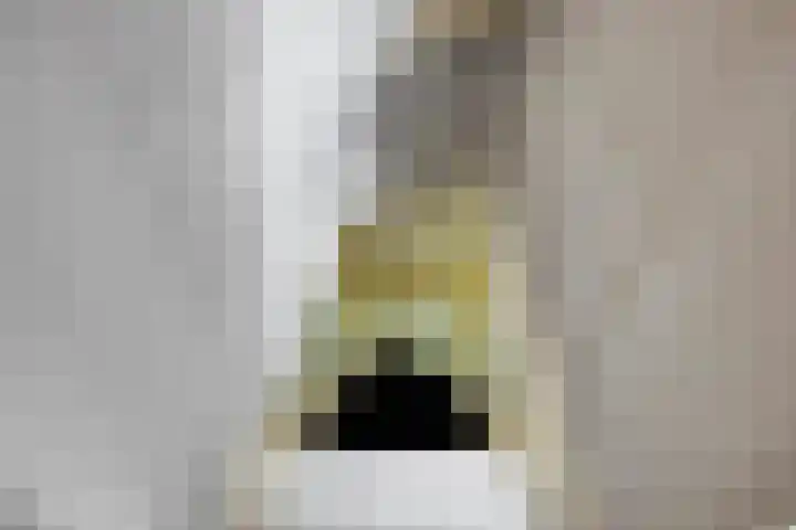 Aleidisstraat 14 Sprundel thumbnail 31