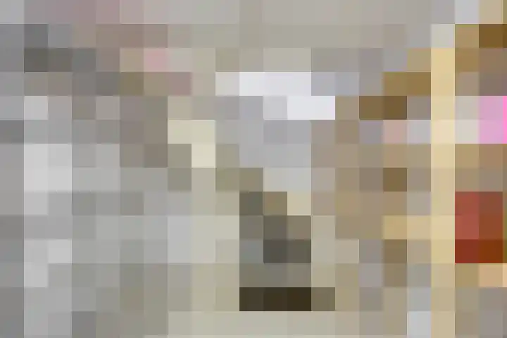Aleidisstraat 14 Sprundel thumbnail 33