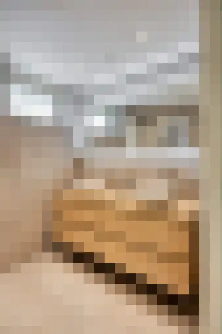 Aleidisstraat 14 Sprundel thumbnail 39