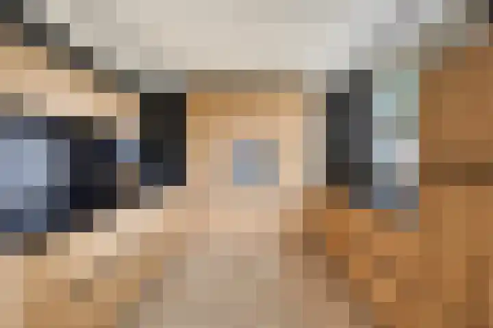 Aleidisstraat 14 Sprundel thumbnail 4