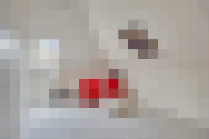 Aleidisstraat 14 Sprundel thumbnail 47
