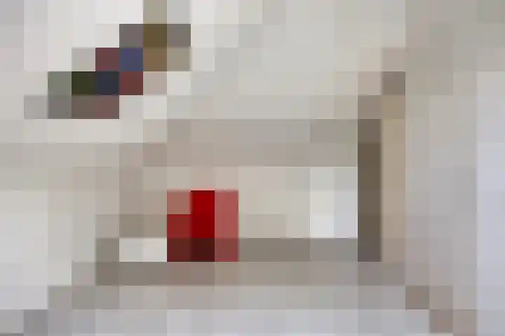 Aleidisstraat 14 Sprundel thumbnail 48