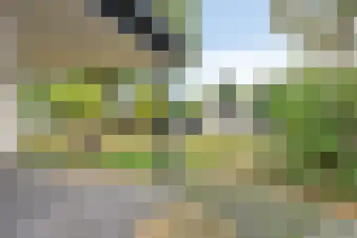Aleidisstraat 14 Sprundel thumbnail 51