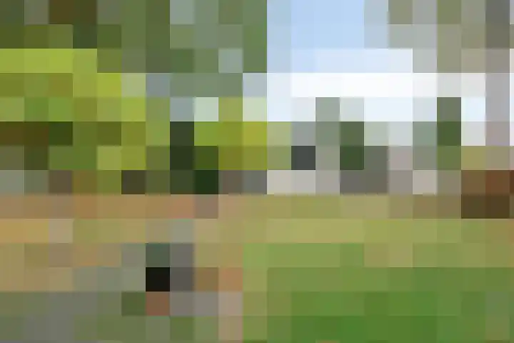 Aleidisstraat 14 Sprundel thumbnail 52