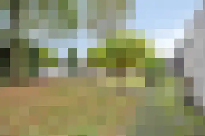 Aleidisstraat 14 Sprundel thumbnail 53