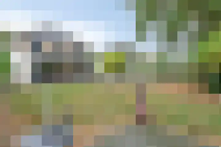 Aleidisstraat 14 Sprundel thumbnail 54