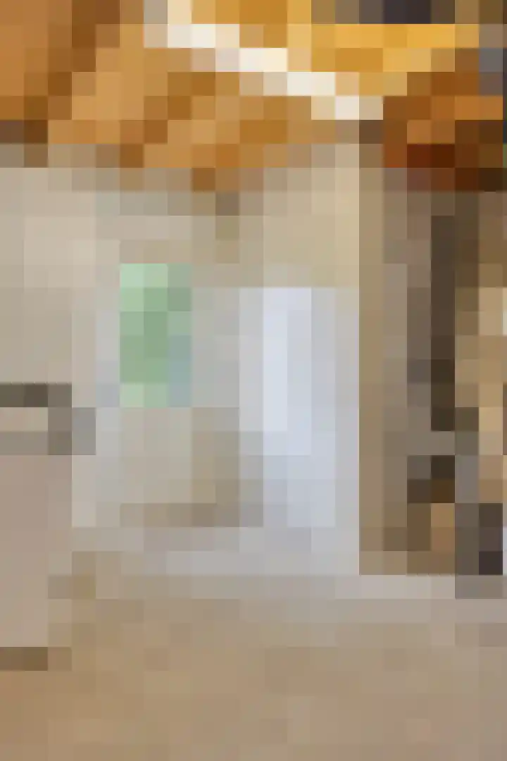 Aleidisstraat 14 Sprundel thumbnail 59