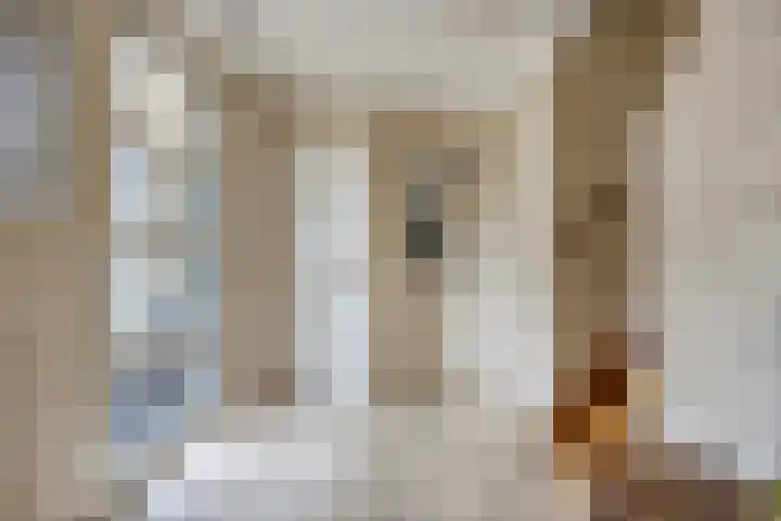 Aleidisstraat 14 Sprundel thumbnail 7