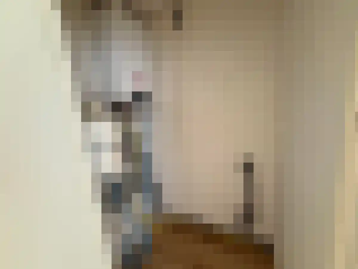 Aleidisstraat 31 Rotterdam thumbnail 5