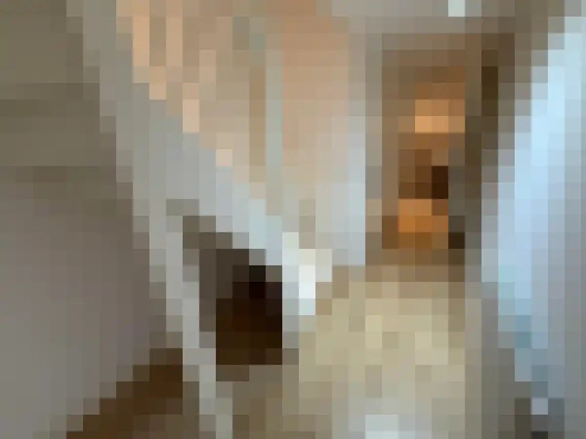 Aleidisstraat 31 Rotterdam thumbnail 6