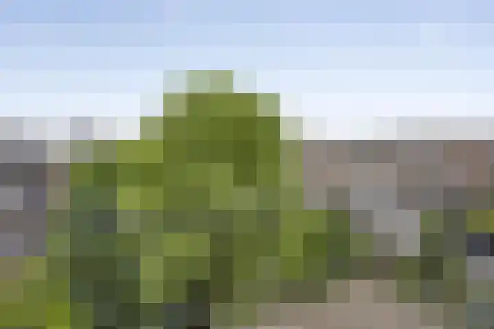 Aleidisstraat 64 C Rotterdam thumbnail 13