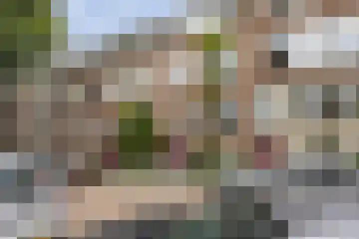 Aleidisstraat 64 C Rotterdam thumbnail 14