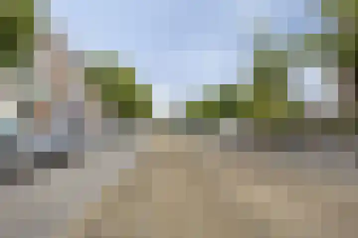 Aleidisstraat 67 Rotterdam thumbnail 14