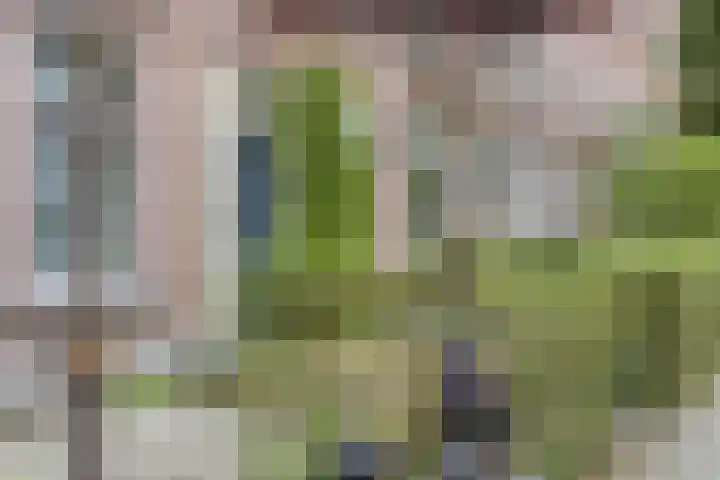 Aleidisstraat 67 Rotterdam thumbnail 15