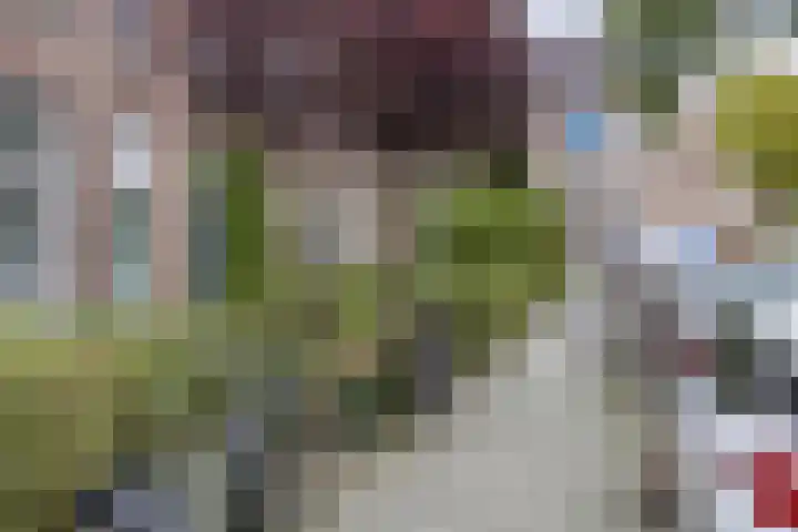 Aleidisstraat 67 Rotterdam thumbnail 16