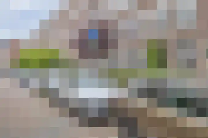 Aleidisstraat 67 Rotterdam thumbnail 17