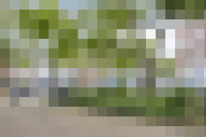 Aleidisstraat 67 Rotterdam thumbnail 20