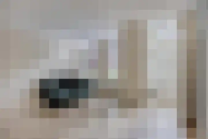 Aleidisstraat 67 Rotterdam thumbnail 7