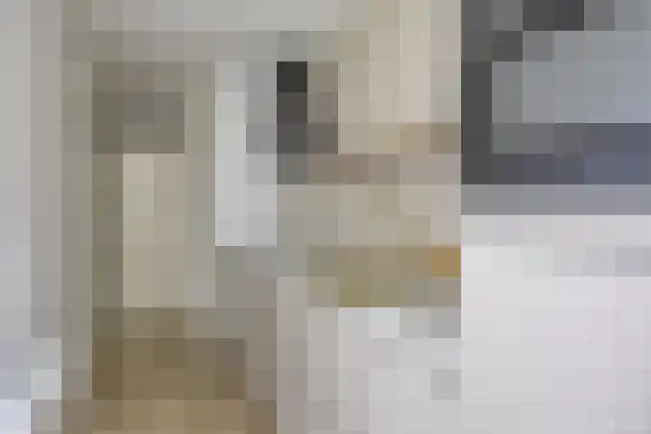 Aleidisstraat 67 Rotterdam thumbnail 9