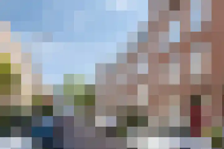 Aleidisstraat 68 B Rotterdam thumbnail 21