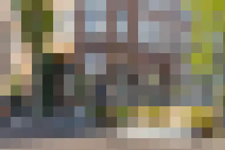 Aleidisstraat 68 B Rotterdam thumbnail 25