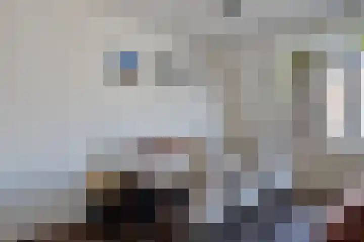 Aleidisstraat 68 B Rotterdam thumbnail 7