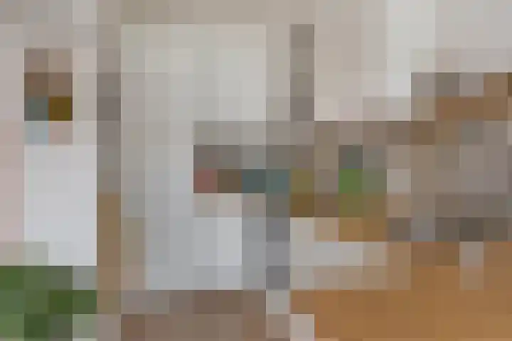 Aleidisstraat 73 D Rotterdam thumbnail 10