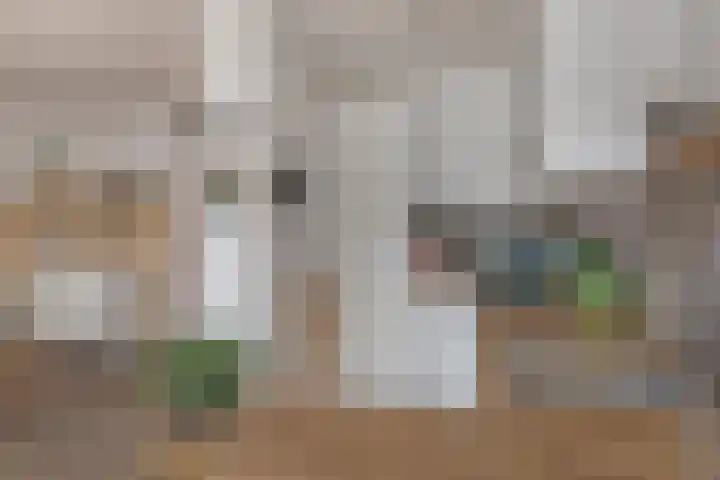 Aleidisstraat 73 D Rotterdam thumbnail 11