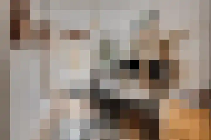 Aleidisstraat 73 D Rotterdam thumbnail 17