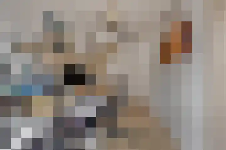 Aleidisstraat 73 D Rotterdam thumbnail 18