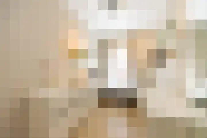 Aleidisstraat 73 D Rotterdam thumbnail 22