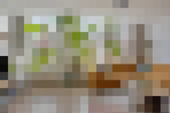 Aleidisstraat 73 D Rotterdam thumbnail 7